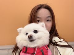 -爪吧宠物乐园·宠物泳池(温榆河示范区店)