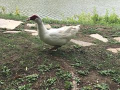 -大连外国语大学(旅顺校区)
