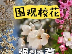 -中央民族大学