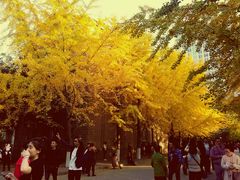 -辽宁大学(崇山校区)
