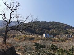 -福建天门山
