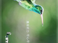 -惠耳听力助听器(南京惠耳国际听力中心)