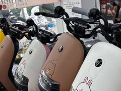 -九号电动车(安定门内大街店)