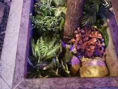 -巴渝瓦肆重庆鲜火锅(宝龙环湖店)