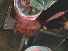 -凯华海鲜火锅·传承三十六年
