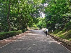 -北极阁公园