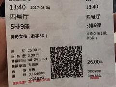 -华美国际影城(旧宫永辉店)