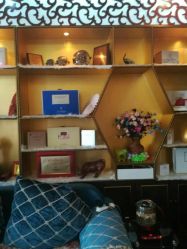 -归真美学颜究中心