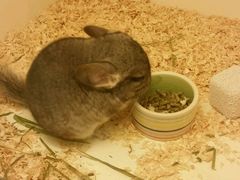 -龙猫仔乐园(惠福东路店)