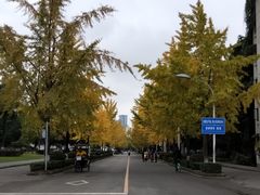 -四川大学(望江校区)