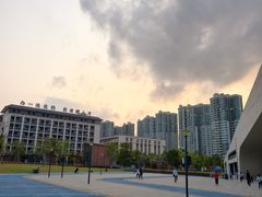 -中山市树木园