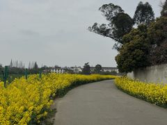-郫都区农科村景区