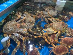 -盒马鲜生(杭州运河上街店)