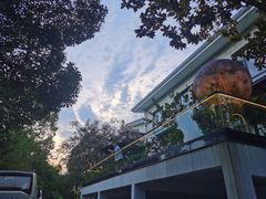 -恬阿姨庭院餐厅·生日宴