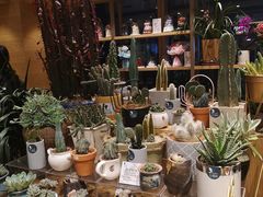-G·SPACE(金鹰世界店)