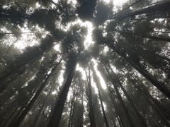 -山王坪喀斯特国家生态公园