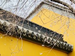 -圆通寺