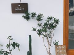 -AHAVA·Fang Baking Studio