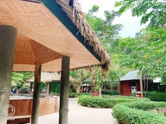 -野象谷景区