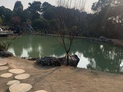 -铁山坪森林公园