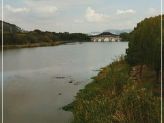 -长广溪湿地公园