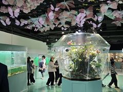 -上海大自然野生昆虫馆(东方明珠·爬宠昆虫探索中心)