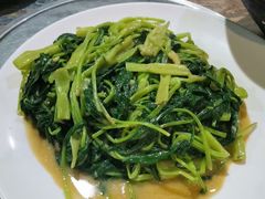 -石岐乳鸽村(南海第三分店)