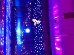 -南风大剧院莎梦二人转剧场