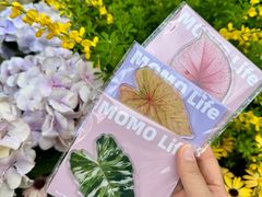 -杭州西湖银泰百货