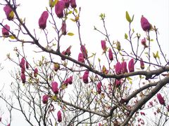 -北京华联合肥长江西路购物中心