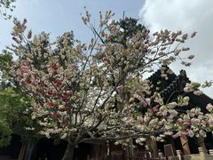 -晋祠公园