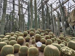 -南山植物园