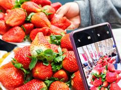 -半岛听涛蒸汽海鲜自助(K11店)
