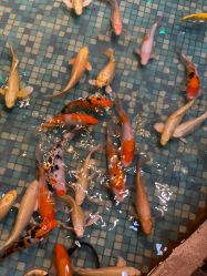 -酷嗒动物文化乐园(cutezoo西溪乐天城店)