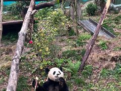 -乐和乐都主题乐园