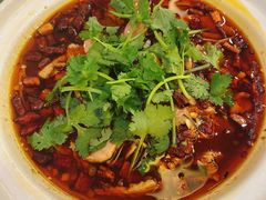 -鲍氏金勺子(恒大店)