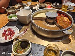 -巴奴毛肚火锅(九洲店)