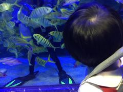 -海合安成都极地海洋公园