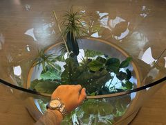 -皇室假期美食水疗会(春风路店)