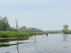 -白洋淀风景区