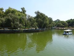 -金砂公园
