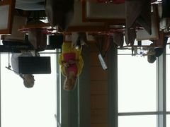 -视界美食自助餐厅·石家庄希尔顿酒店