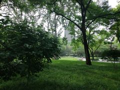 -玲珑塔公园