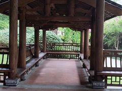 -光明港公园