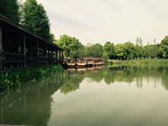 -昆山城市生态森林公园