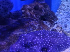 -多彩贵州城极地海洋世界