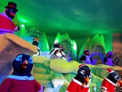 -帝企鹅自助餐厅•儿童岛•真企鹅(长隆企鹅酒店)