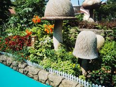 -苏州乐园森林水世界