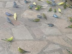 -南宫五洲植物乐园