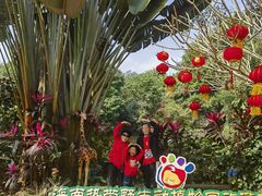 -海南热带野生动植物园